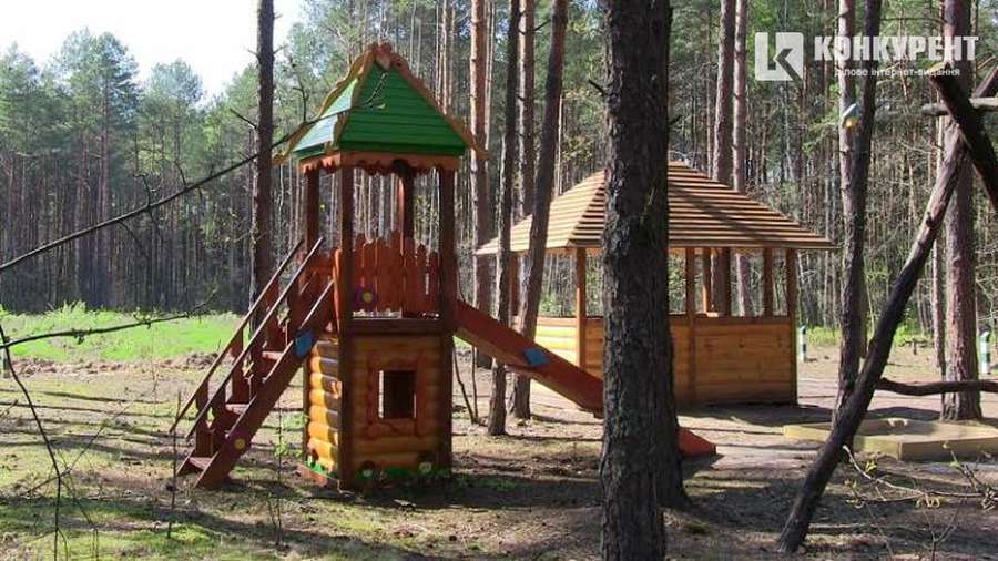 Відпочинок на природі: рекреаційні пункти у волинських лісах