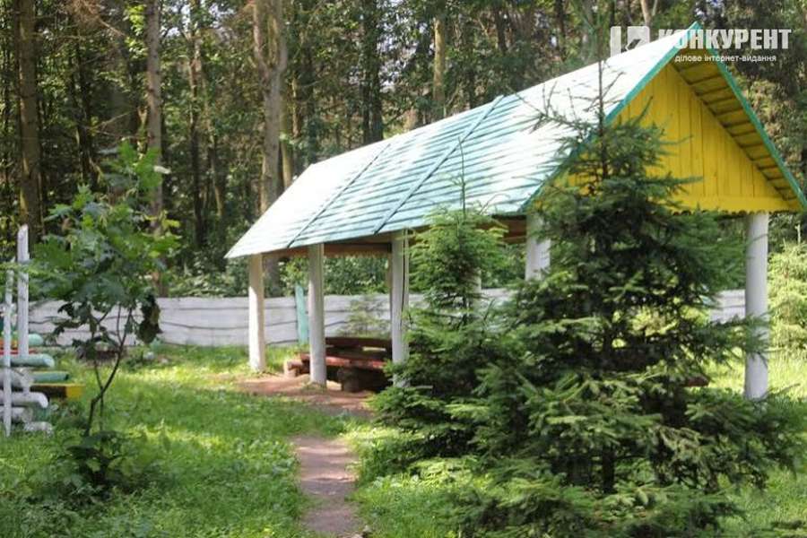Відпочинок на природі: рекреаційні пункти у волинських лісах