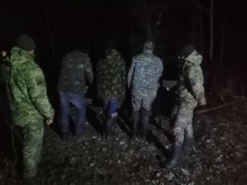 Контрабанда на підводах: волиняни везли 800 кілограмів сала до Білорусі (фото)