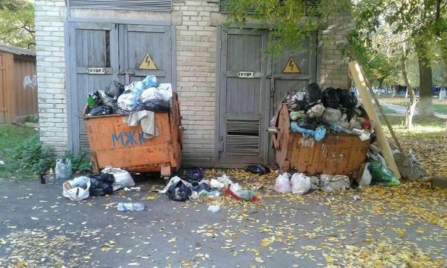 Лучан каратимуть за гілля та будівельні відходи у сміттєвих контейнерах (фото) 