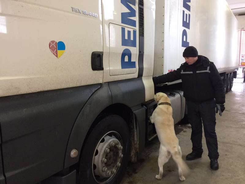 На «Ягодині» пес знайшов у вантажівці німця психотропи (фото)