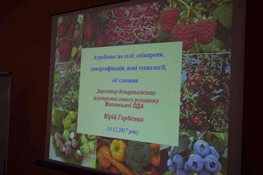 Польські аграрії допоможуть розвивати ягідництво та садівництво на Волині (фото)