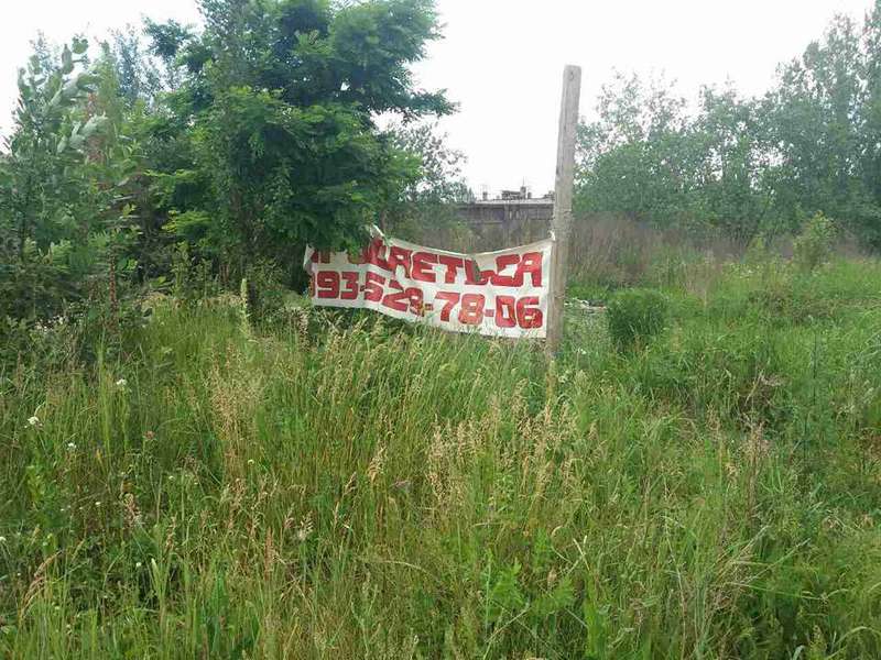 Муніципали перевірили,  як косять траву у Луцьку (фото)