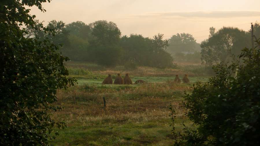 Простота, спокій, загадковість: осінь у селі на Волині (фото)