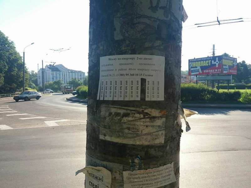 У Луцьку муніципали боролись зі стихійною рекламою (фото)