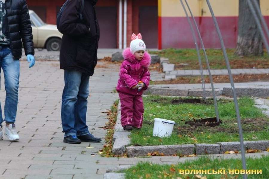 На проспекті Волі у Луцьку садили алею троянд (фото)