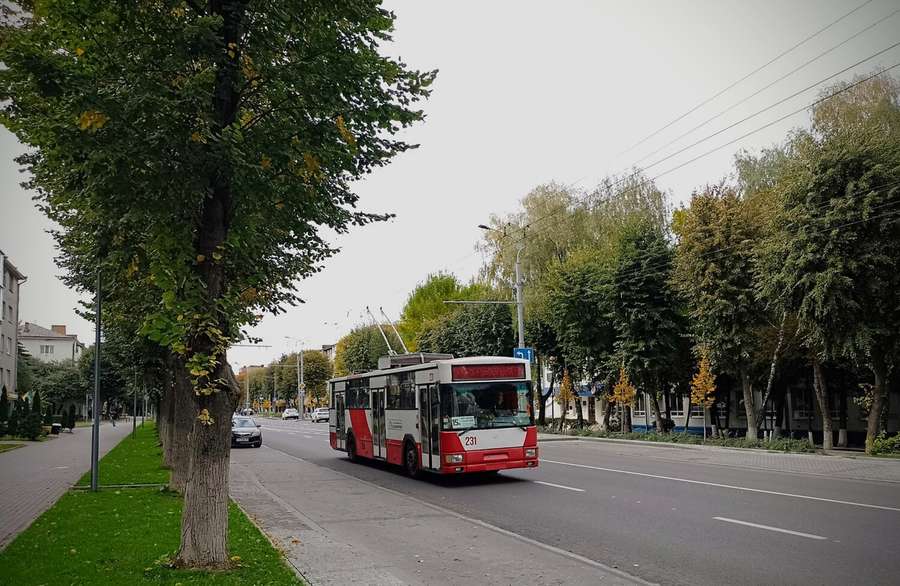 Вирізнявся з-поміж інших: Луцьком курсував яскравий тролейбус (фото)