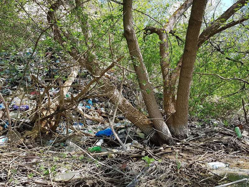 Жителі села біля Луцька викидають пакети зі сміттям у річку (фото)