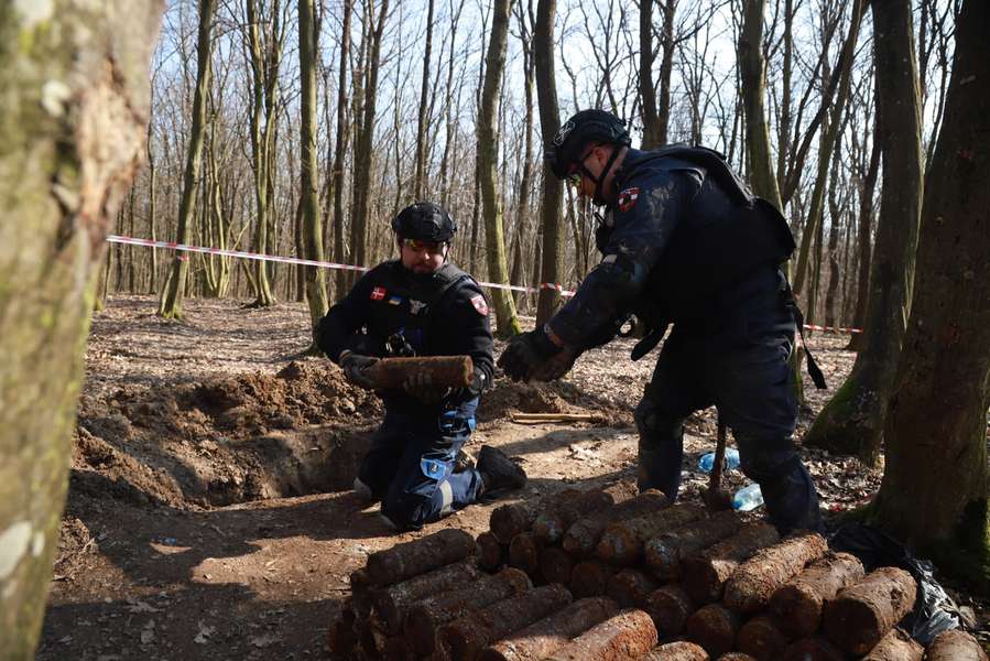 Поблизу села на Волині, де на смерть підірвалися троє людей, знайшли 167 боєприпасів (фото)