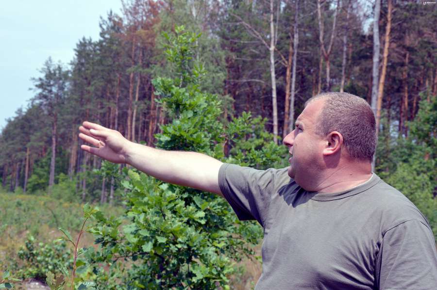 Руслан Войцеховський стверджує, що всихання дерев  спостерігається на території всієї області