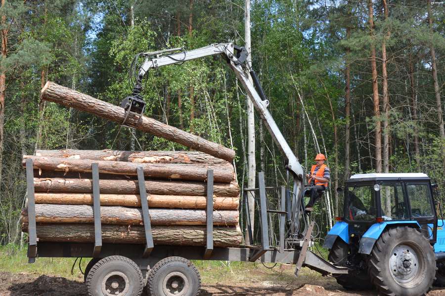 Процес завантаження деревини