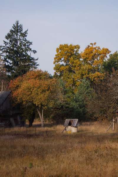 Простота, спокій, загадковість: осінь у селі на Волині (фото)