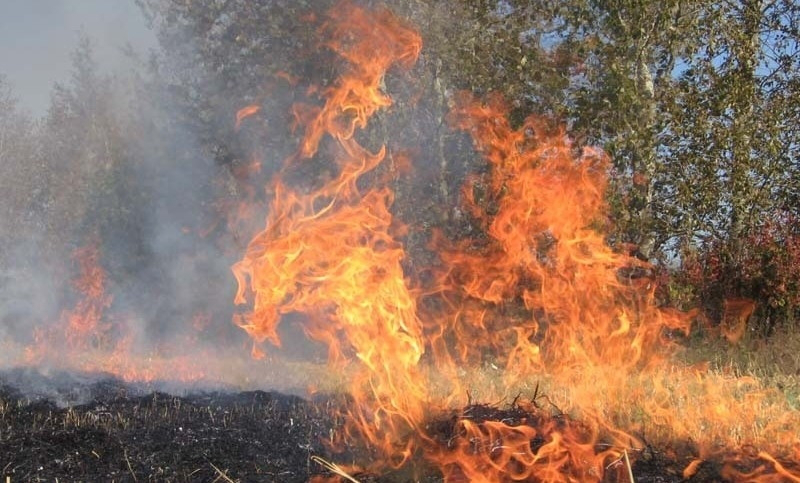 Екологи штрафували волинян за спалювання сухої трави