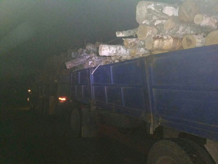 На Волині з вантажівки на іномарку впали дерев'яні колоди (фото)