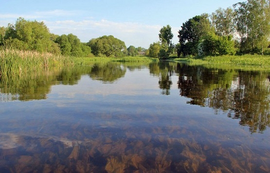 Річку на Волині визнали найстарішою в Україні 