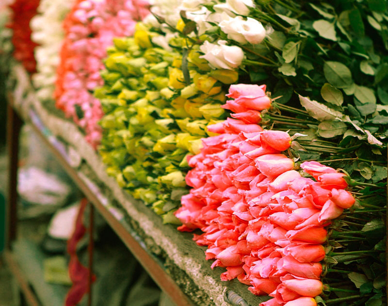 В Україні «процвітає» квітковий бізнес