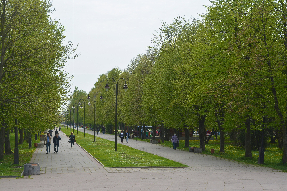 «Парки і сквери міста Луцька»  залишились без керівника