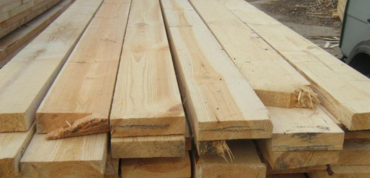 Горохівські освітяни проґавили деревини на 25 тисяч гривень 