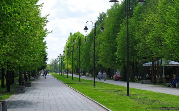 Для догляду за парками в Луцьку пропонують набрати штат працівників