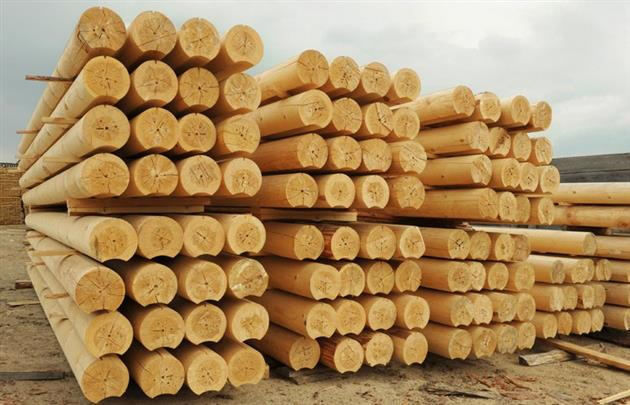 Лісогосподарська галузь Волині 59% коштів отримує від експорту деревини