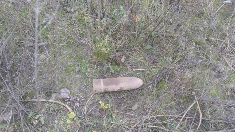 У лісосмузі біля Прилуцького знайшли артилерійський снаряд (фото)