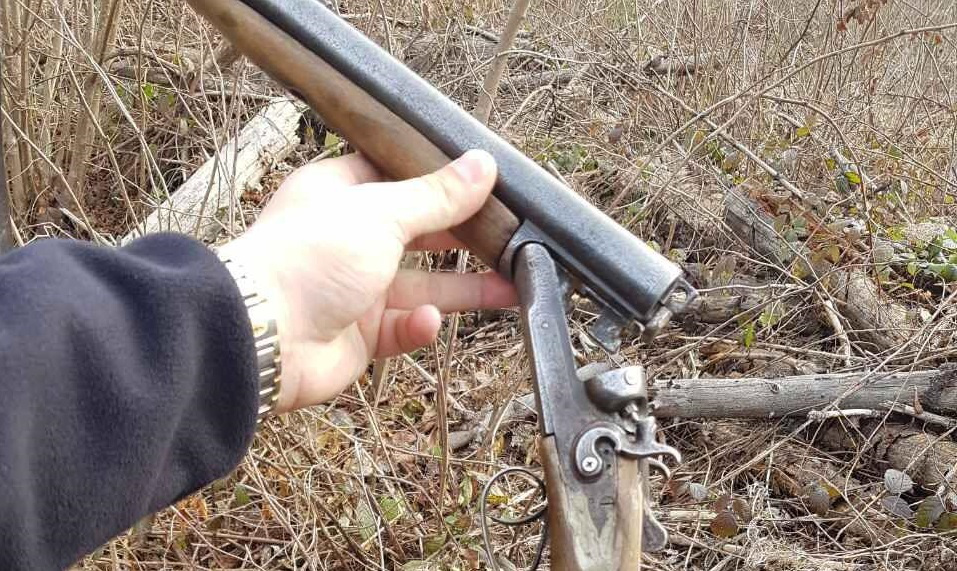 На Волині браконьєри застрелили самця козулі