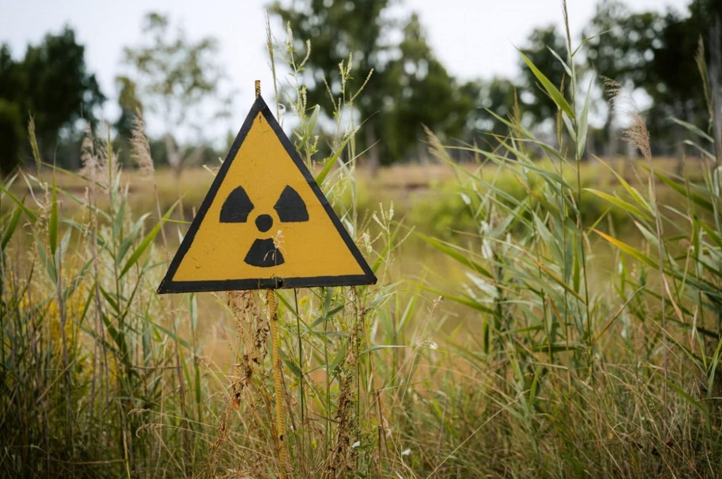 Як Чорнобильська катастрофа вплинула на ґрунти Волині
