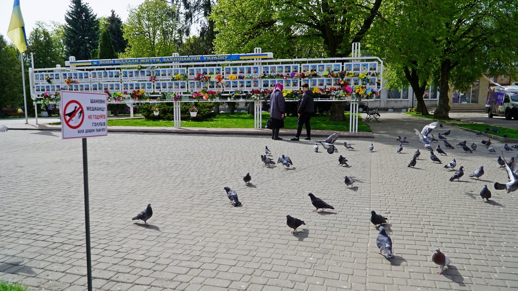 У Володимирі просять не годувати голубів біля фотостенду загиблих героїв
