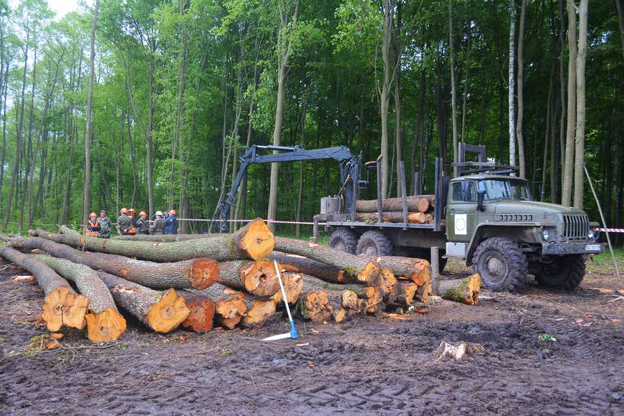 Гідроманіпулятор – спецтехніка, призначена для відвантаження лісопродукції. Цей транспорт необхідний для того, щоб максимально швидко вивезти деревину з лісу та переробити.