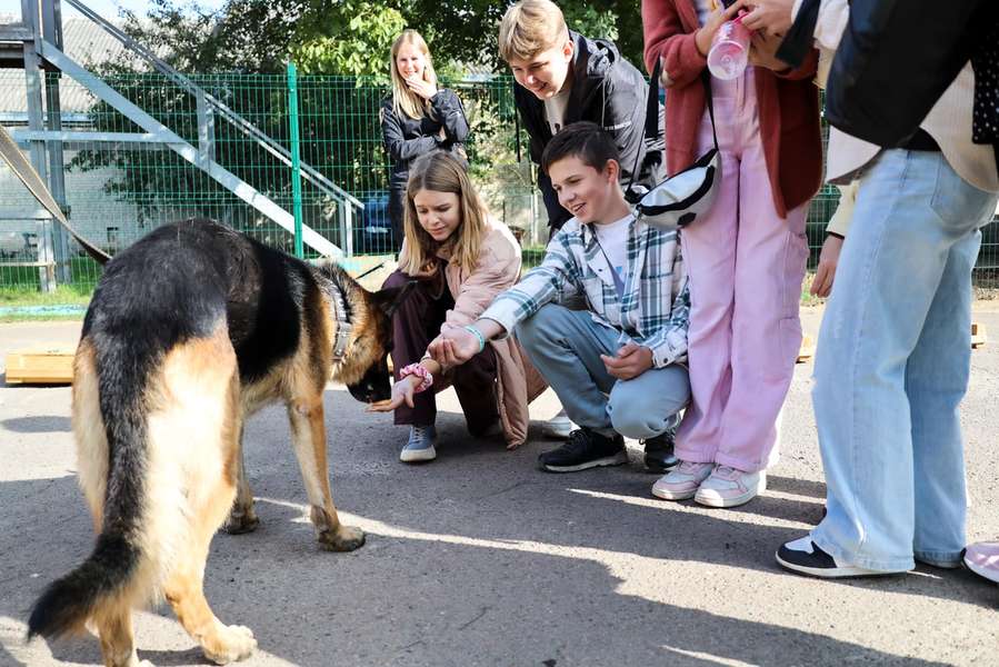 Луцьких школярів познайомили з поліцейськими псами (фото)