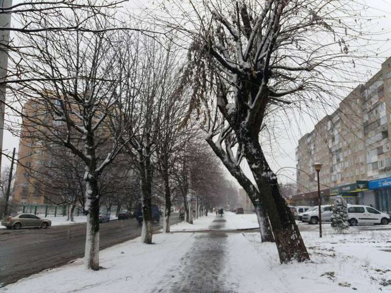 Хто й навіщо дозволив зрізати 18 дерев у Луцьку (фото)