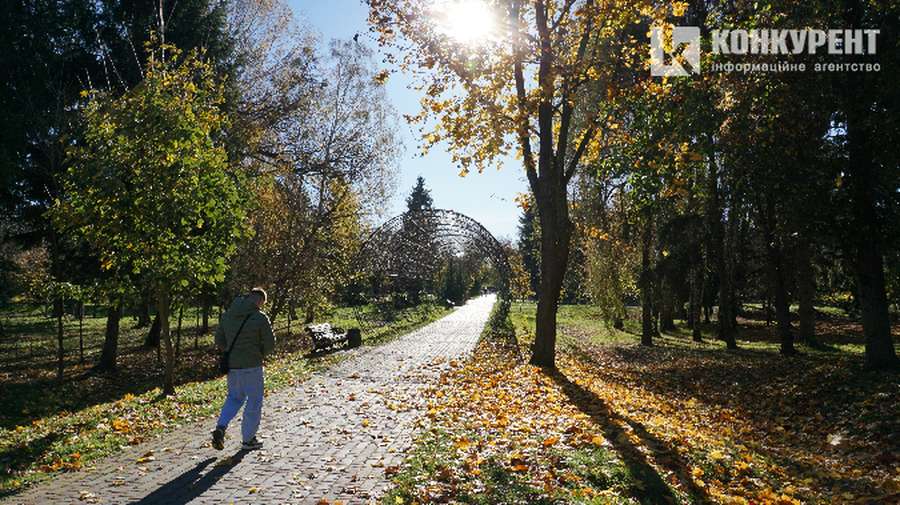 Як у луцькому Центральному парку панує осінь (фото)