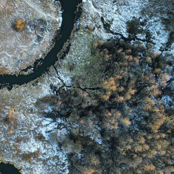 Зачарована Чорногузка: річка біля Луцька з висоти пташиного лету (фото)
