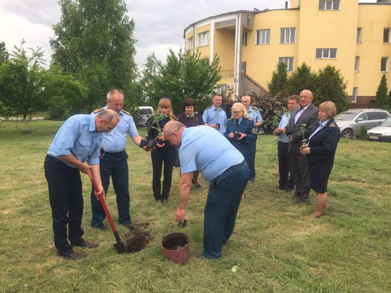 Волинська митниця на День ветерана посадила інноваційні фенікс-дерева