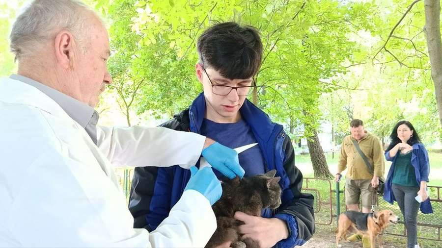 І котиків, і собачок: у Луцьку безплатно вакцинують домашніх тварин від сказу (фото, відео)