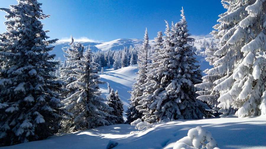 Як не потрапити в халепу в зимових горах: поради від волинського гіда