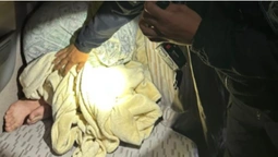 Попалися в «Ягодині»: далекобійник за $5000 вклав у своє ліжко ухилянта (фото, відео)