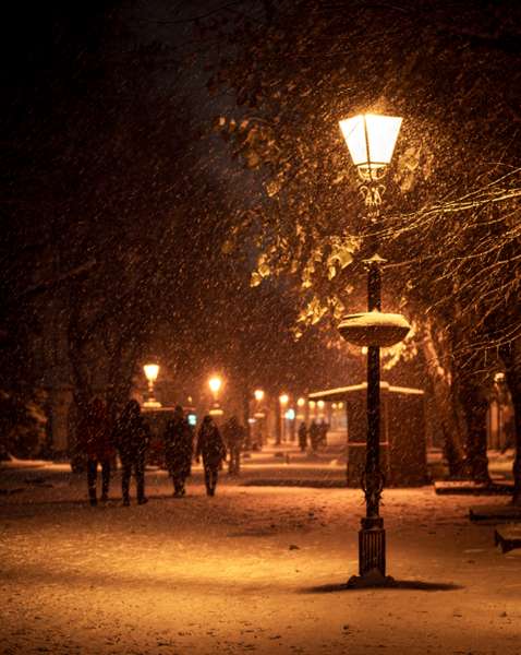 Світло ліхтарів і сяяння сніжинок: нічний снігопад у Луцьку (фото)