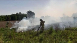 Згоріло два гектари: у Луцькому районі піймали палія (фото)