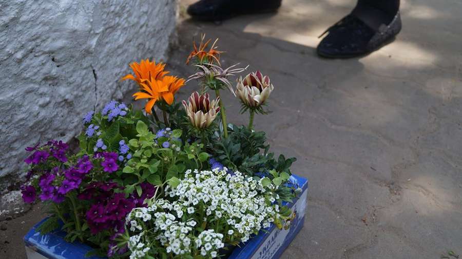 Працівники ЛПЕ змінили «залізяки» на квіти (фото)
