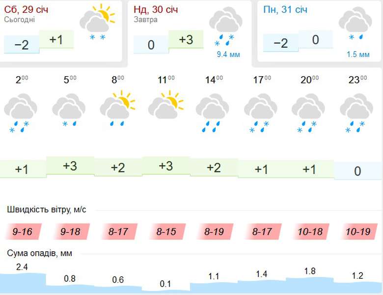 Сильний сніг, дощ, вітер: погода в Луцьку на неділю, 30 січня