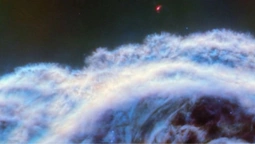 Телескоп Джеймса Вебба зробив унікальні зображення туманності Кінська Голова (відео)