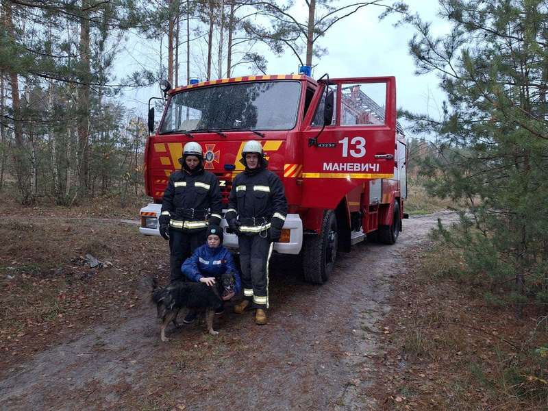 Волинські рятувальники визволяли собаку, який впав у п'ятиметрову яму (фото)