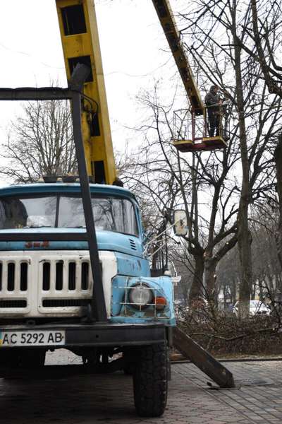Навіщо на Волі в Луцьку обрізають дерева (фото)
