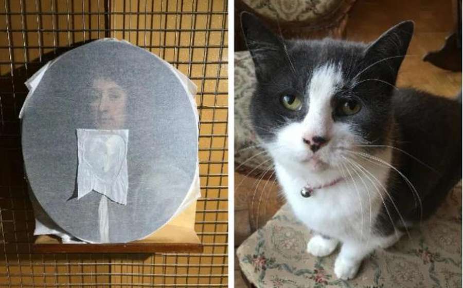 У Великобританії кіт мистецтвознавця зіпсував картину XVII століття