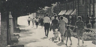 Яким був проспект Волі у Луцьку у 1960-х (фото)
