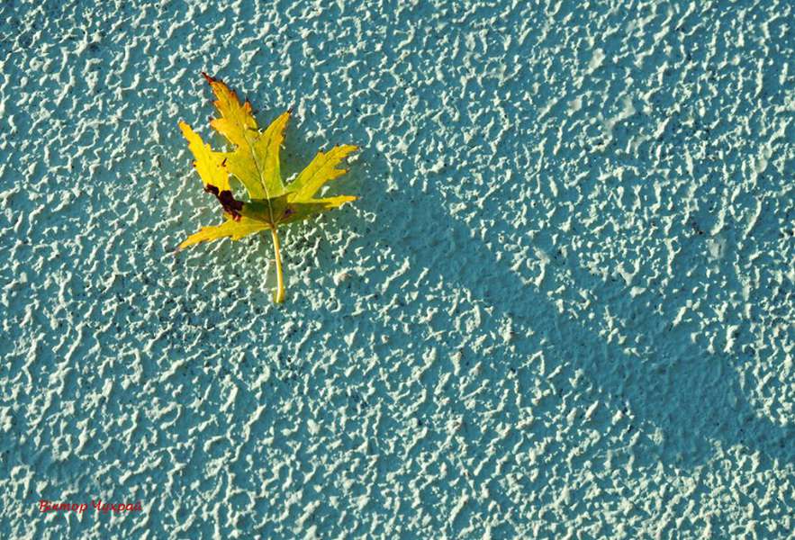Фотохудожник показав золоту осінь у Луцьку (фото)