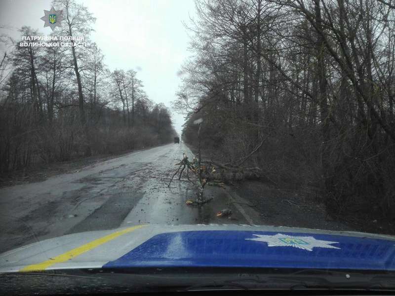 На трасі з Луцька до Рівного лежить багато повалених дерев (фото)