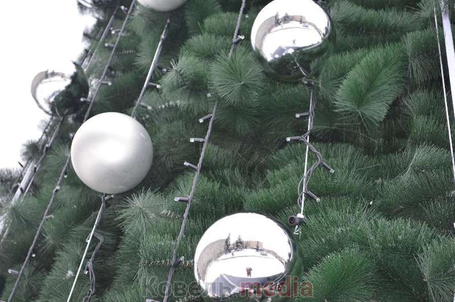 У Ковелі встановили та прикрасили головну новорічну ялинку міста (фото)