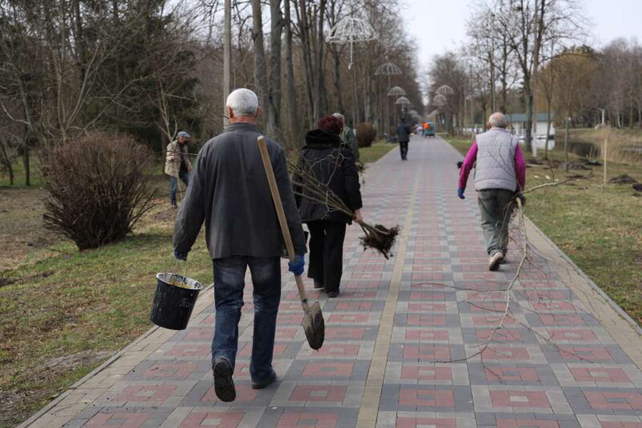 Тополі, липи, клени: у Луцьку  озеленюють центральний парк (фото)